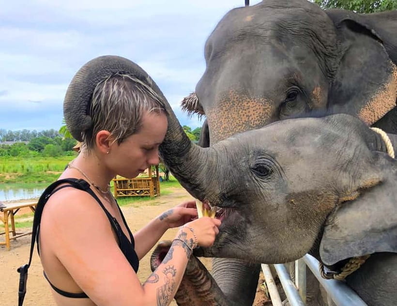 Phuket City Tour with Night Market Visit & Elephant Feeding - Getting From Stop to Stop Without Losing Your Day