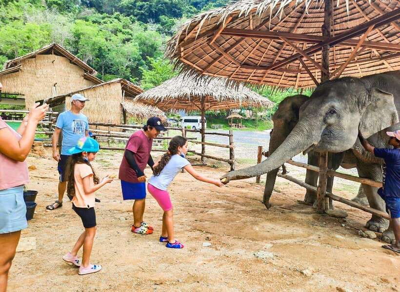 Phuket City Tour with Viewpoints, Temples & Elephant Feeding - Key highlights to watch for