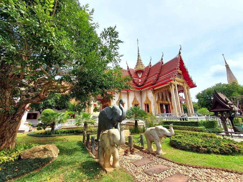 Phuket City Tour with Viewpoints, Temples & Elephant Feeding - Phuket Elephant Care Sanctuary: feeding time is the emotional core