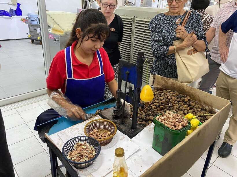 Phuket City Tour with Viewpoints, Temples & Elephant Feeding - Khao Rang Hill monkey spotting and Old Town’s Sino-Portuguese streets