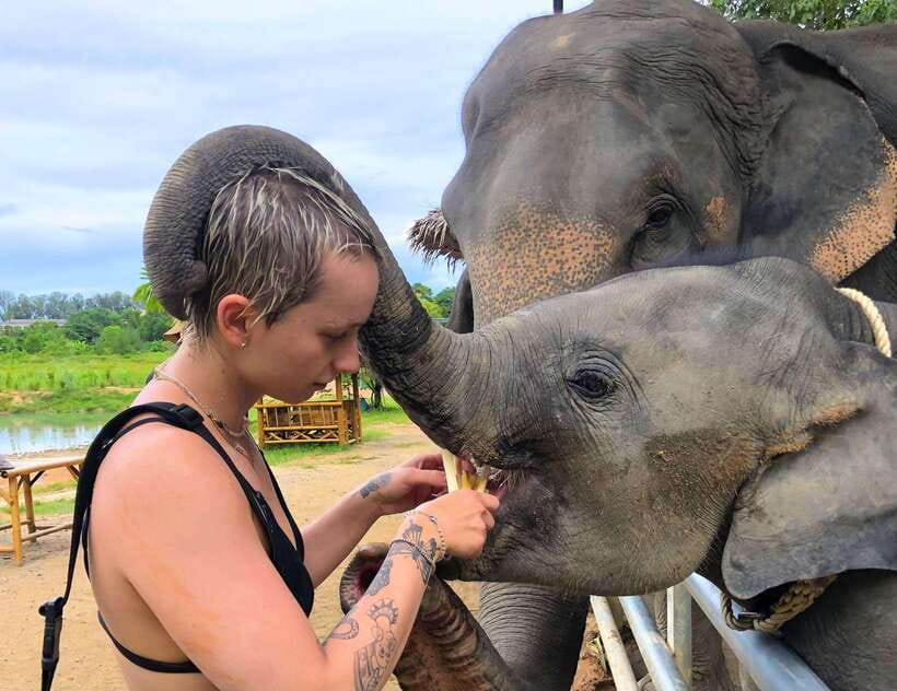 Phuket City Tour with Viewpoints, Temples & Elephant Feeding - What to bring (and what to skip) for a smoother day