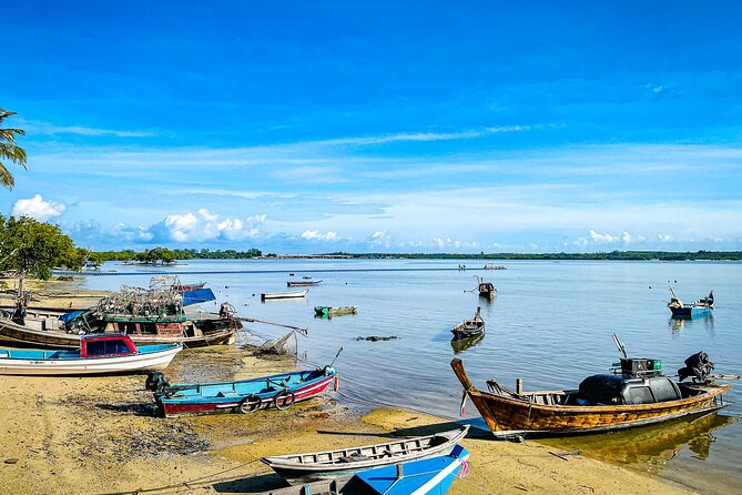Phuket Coast to Coast Cycling Tour | Half Day Tour - Small group pacing: why it feels calm instead of hectic