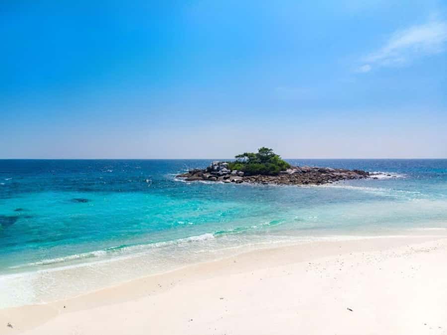 Phuket: Coral and Racha Island Yacht Tour with Lunch - Who This Tour Fits Best (and Who Should Rethink It)