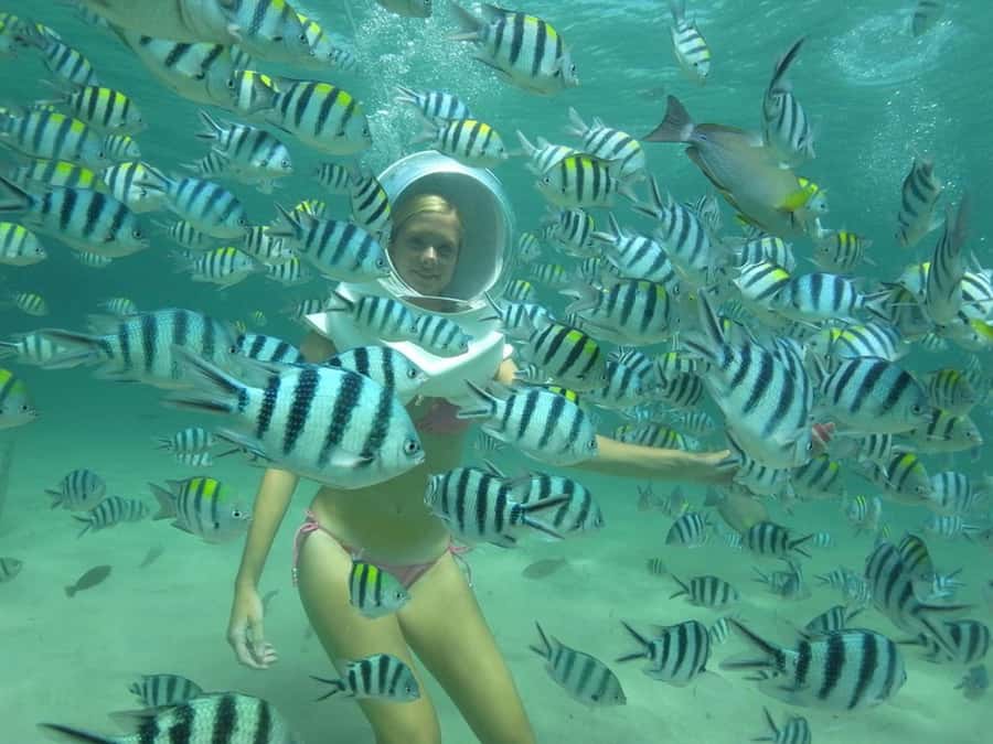 Phuket: Coral Island Snorkeling and Water Activities Trip - The Hill Stroll and the Secluded Cove: Where You Actually Rest