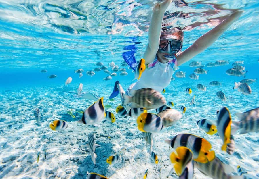 Phuket: Coral Island Tour and Sea Walking - Price and what you’re really paying for ($90)