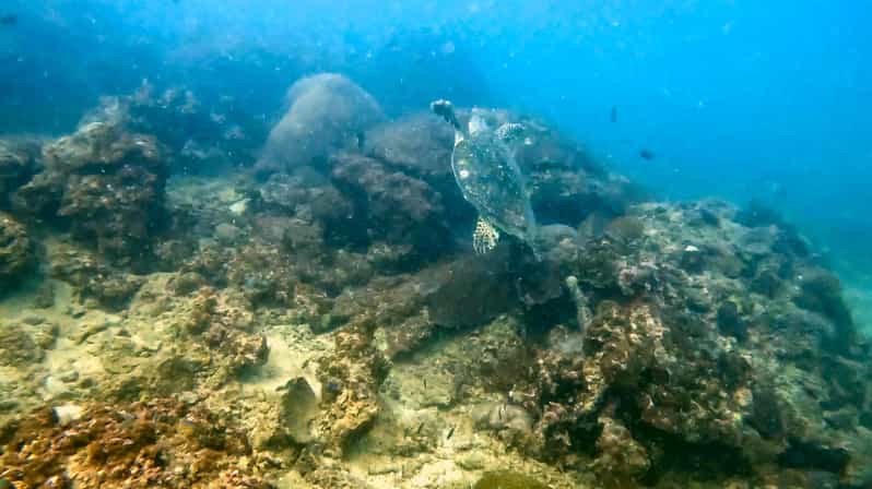 Phuket: Coral Reef Scuba Diving Experience at G Beach Club - Finding the meeting point and keeping the day smooth