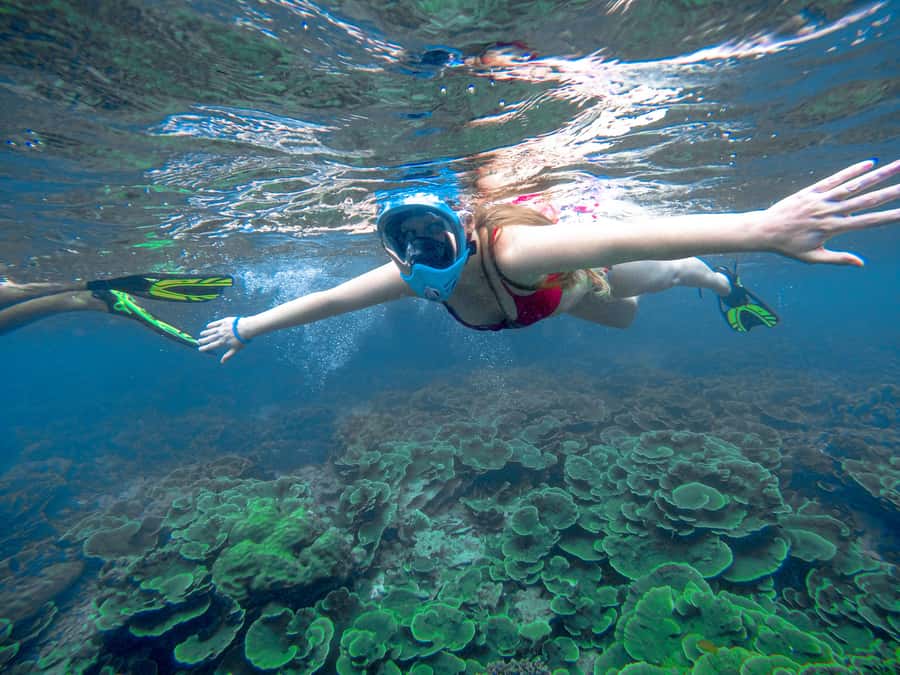 Phuket: Deluxe Phi Phi Tour by Speedboat & Lunch Buffet - Quick hits (what makes this Phi Phi day work)