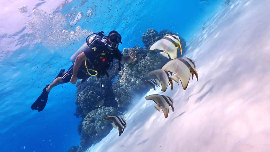 Phuket: Discover Scuba Diving to Racha Yai Island - Price and value: why $153 can work for a first scuba try