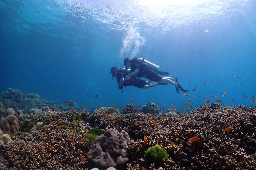 Phuket: Discover Scuba Diving to Racha Yai Island - Camera rules in Thailand and why the photo package is worth budgeting for