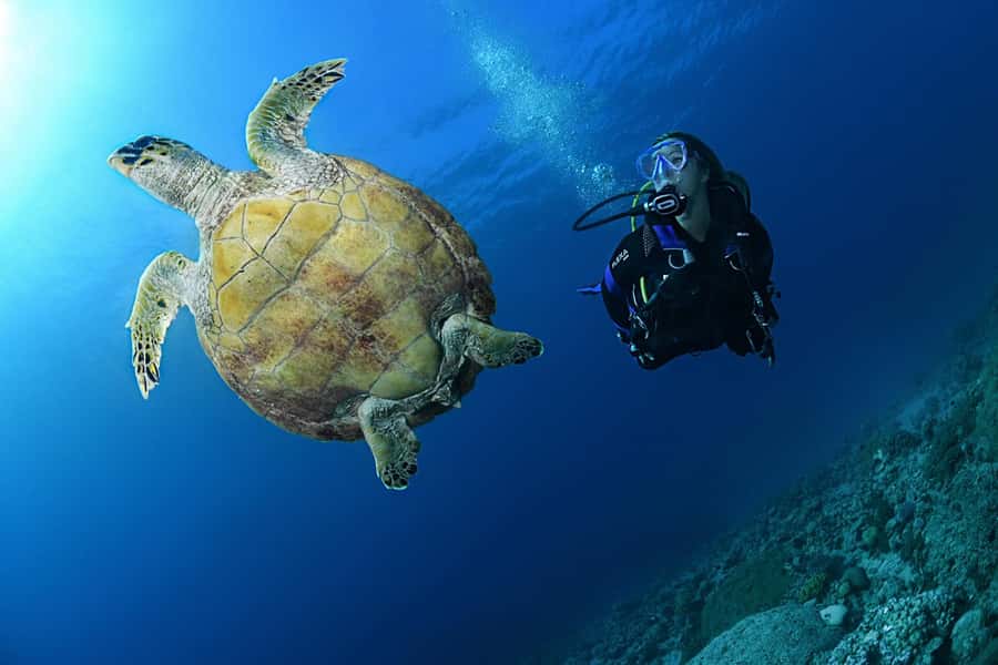 Phuket: Discover Scuba Diving to Racha Yai Island - Who should book this Phuket Racha Yai try-scuba day