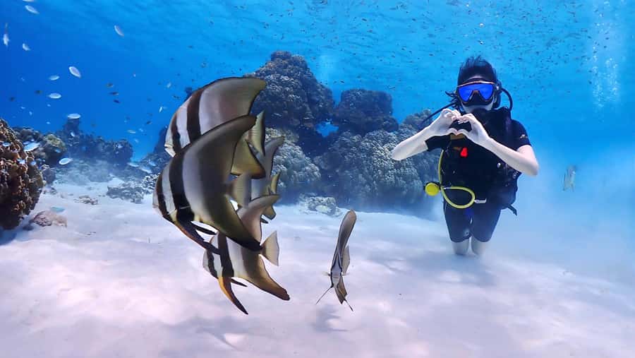Phuket: Discover Scuba Diving to Racha Yai Island - On the water: boat ride rhythm, lunch breaks, and where you actually get time to breathe