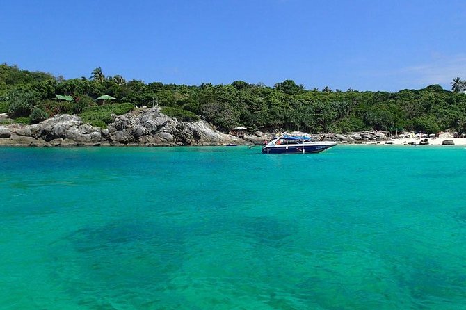 Phuket Dolphin Quest: Racha & Maiton Island Expedition - Maiton Private Island: dolphin search, not a guaranteed sighting