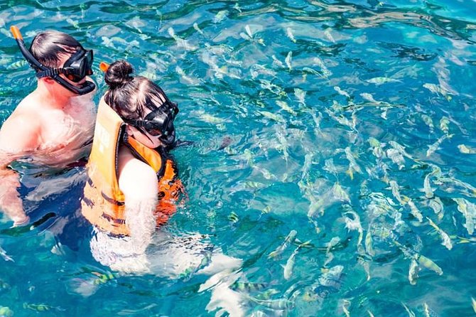 Phuket Dolphin Quest: Racha & Maiton Island Expedition - Price and what $92.52 gets you in real terms