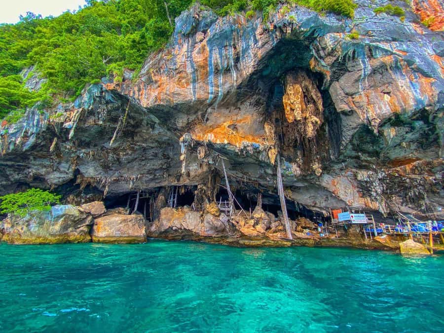 Phuket: Early Speedboat to Phi Phi, Bamboo, Snorkel & Lunch - Snorkeling around Phi Phi Don: gear is included, so focus on comfort
