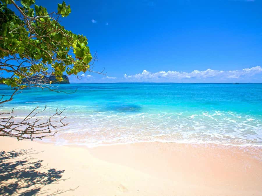 Phuket: Early Speedboat to Phi Phi, Bamboo, Snorkel & Lunch - Bamboo Island: lunch plus sand time is the best kind of reset