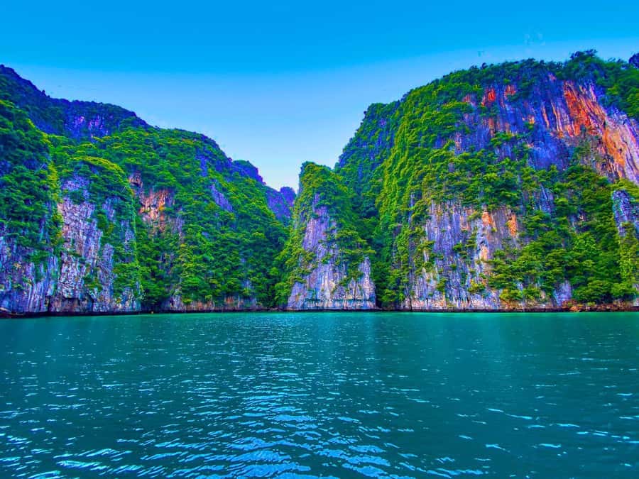 Phuket: Early Speedboat to Phi Phi, Bamboo, Snorkel & Lunch - Price and value: what your $115 actually covers