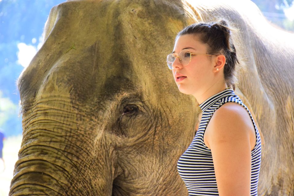 Phuket: Elephant Feeding Program - Food prep: why learning the routine makes feeding better
