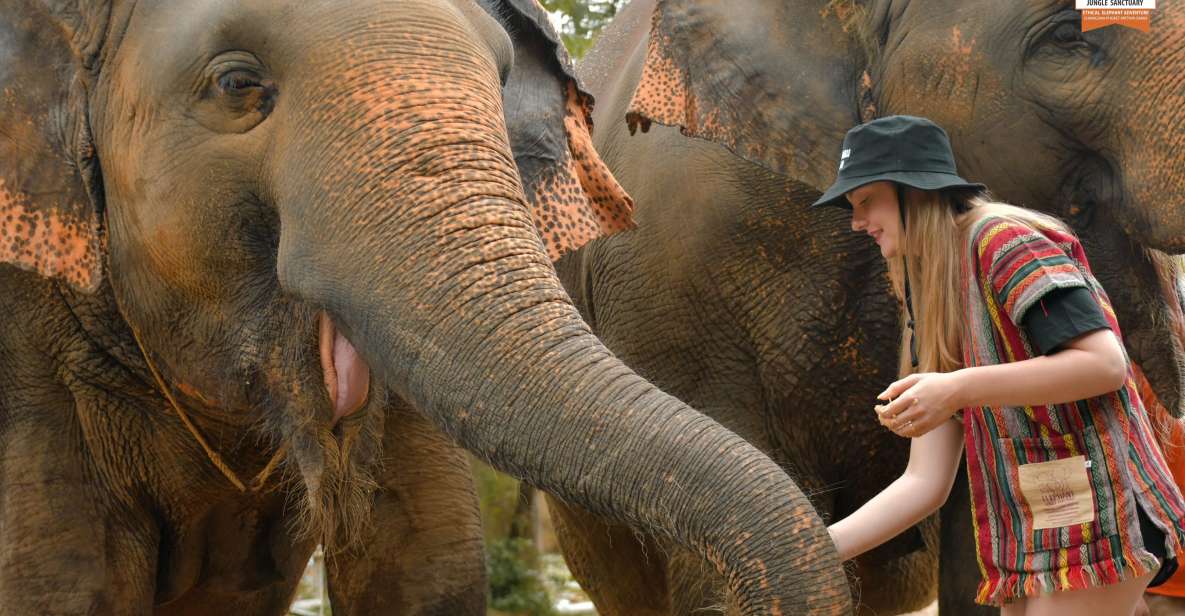 Phuket: Elephant Jungle Sanctuary Ethical Feeding Experience - Key highlights worth aiming for