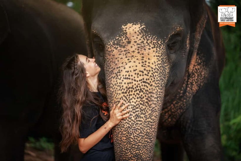 Phuket: Elephant Jungle Sanctuary Ethical Feeding Experience - Price and value: why $28 can be fair (and when it’s not)