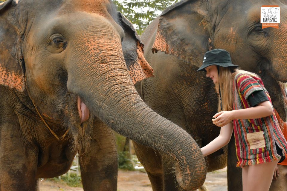 Phuket: Elephant Jungle Sanctuary Ethical Feeding Experience - Where it starts: meeting at Elephant Jungle Cafe (and ending back there)