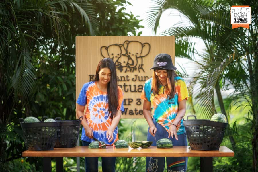 Phuket: Elephant Jungle Sanctuary 'Watch Me' Experience - A 3-hour Watch Me plan in Phuket’s Elephant Jungle Sanctuary