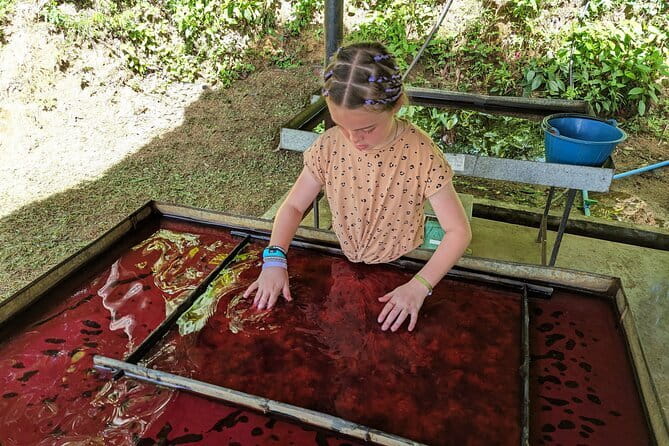 Phuket Elephant Nature Reserve Ethical Sanctuary - The half-day time math: what 3.5 hours looks like on the ground