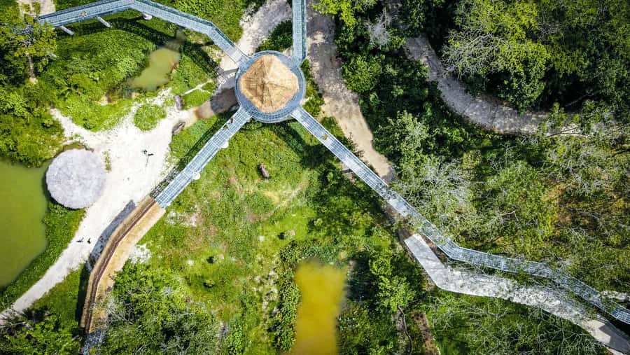 Phuket: Elephant Sanctuary Canopy Walkway Tour - Thailand’s 500-meter canopy walkway over elephant habitat