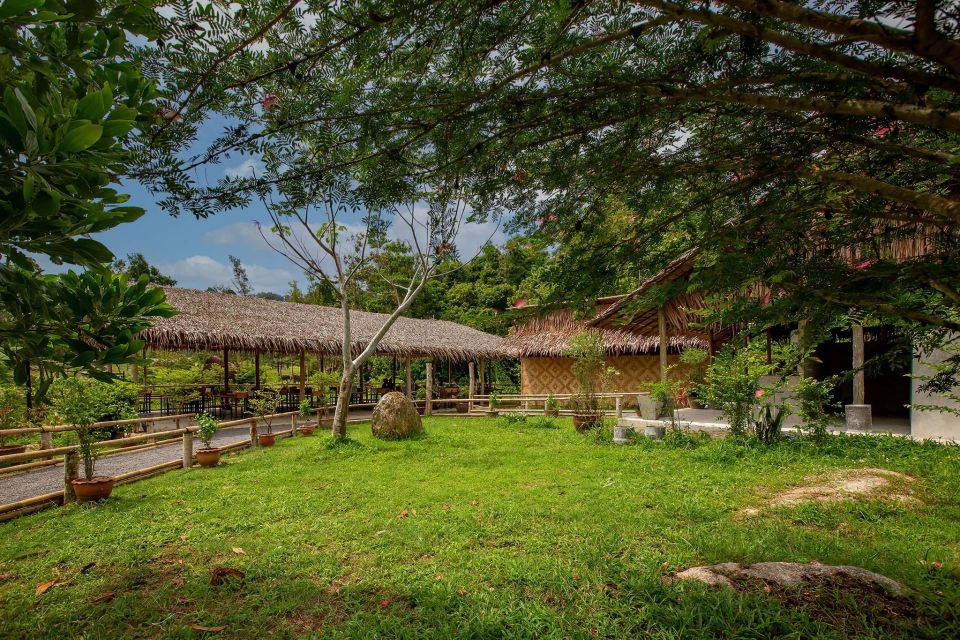 Phuket: Elephant Sanctuary Guided Tour with Hotel Transfers - Daily routines and the power of walking, not riding