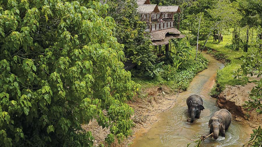 Phuket Elephant Sanctuary: Half-Day with Vegetarian Meal - What to wear and bring: practical gear for Phuket weather