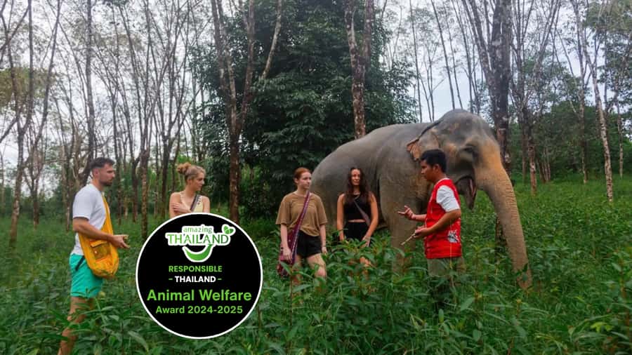 Phuket: Elephant Sanctuary Tour, Cooking Class & Lunch - Why this Khao Lak elephant sanctuary day feels different