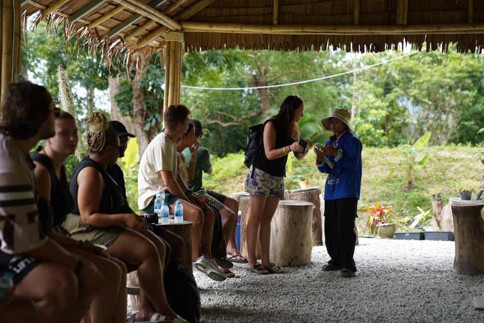 Phuket: Elephant Sanctuary Tour with Hotel Transfers - Meeting the elephants: feeding rice balls the calm way