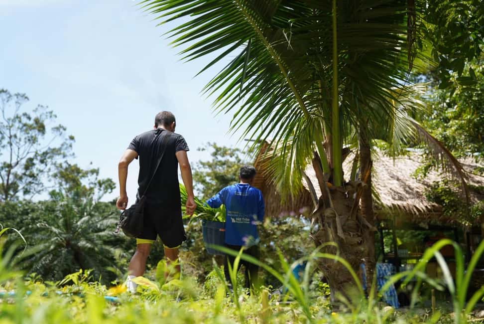 Phuket: Elephant Sanctuary Tour with Hotel Transfers - The guided sanctuary walk: what you learn while you move