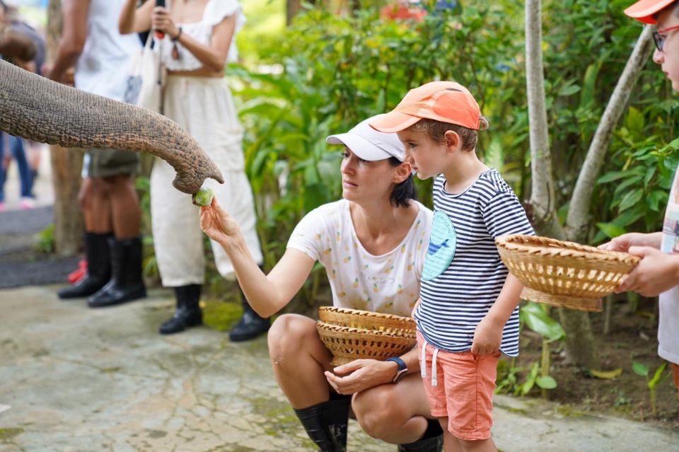 Phuket: Elephant Sanctuary Tour with Hotel Transfers - Who this Phuket elephant sanctuary tour is best for