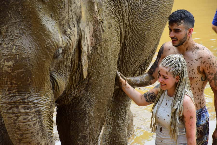 Phuket: Elephant Save & Care Program Tour - The herb-mud spa scrub: what happens and why it’s different