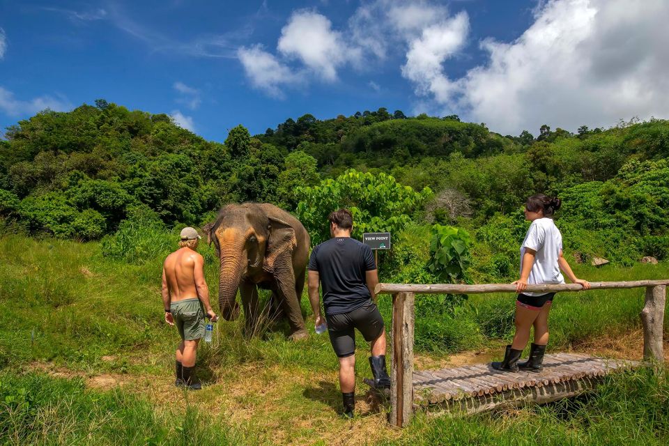 Phuket: Ethical Elephant Nature Park Visit with Lunch - The park’s add-ons: rubber tapping and Thai culture demonstrations