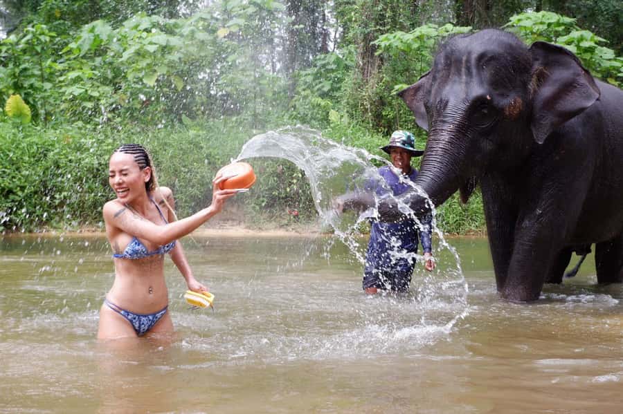 Phuket Ethical Nature Adventure: Rafting, Turtles & Elephant - Getting to Phang Nga: the drive, the small break, and your timing