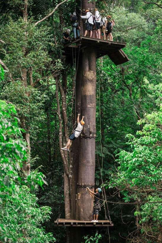 Phuket: Flying Hanuman Zipline Adventure - Flying Hanuman in Phuket: What makes the canopy course special
