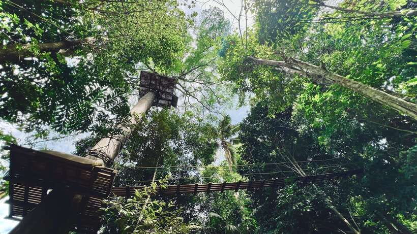 Phuket: Flying Hanuman Zipline Adventure - On-site orientation: harnesses, helmets, and the guide approach