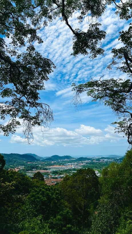 Phuket: Flying Hanuman Zipline Adventure - Choosing your course: 42 platforms versus shorter routes
