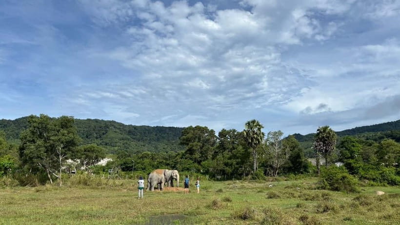 Phuket: Freedom Elephant Reserve - Ethereal Nature Walk - Cooling Off in the Deep Pool or River Area