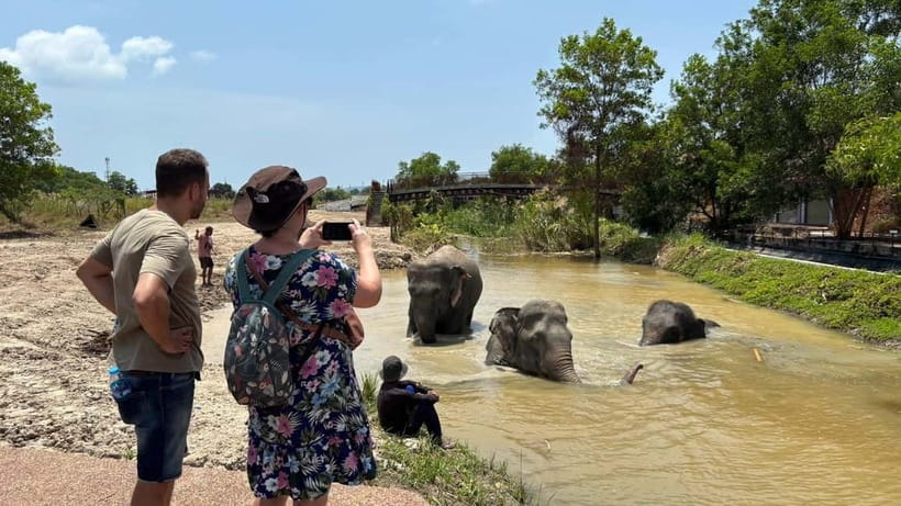 Phuket: Freedom Elephant Reserve - Ethereal Nature Walk - The Rules That Shape the Experience (And Why They Matter)
