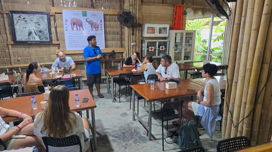 Phuket: Full-Day Elephant Explorer at Phuket Elephant Care - Key things that make Phuket Elephant Care different