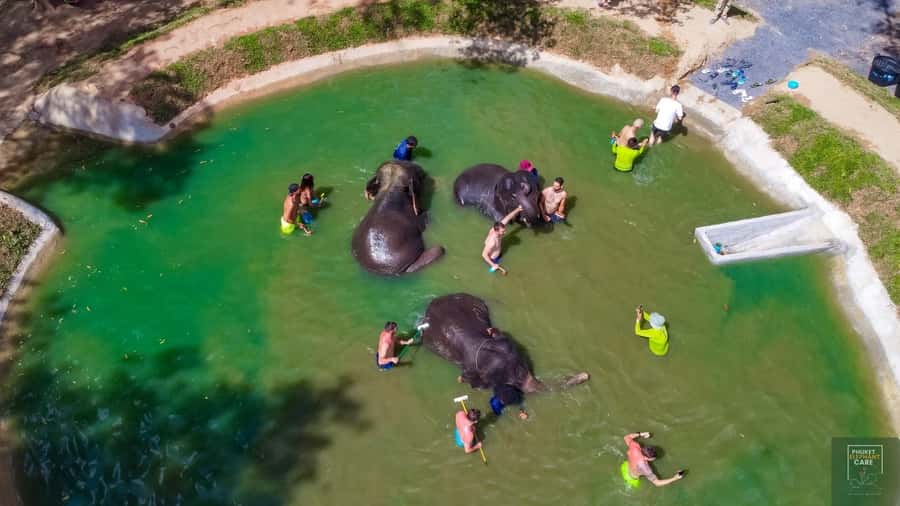 Phuket: Full-Day Elephant Explorer at Phuket Elephant Care - Entering the Naithon elephant sanctuary (and why the setting matters)