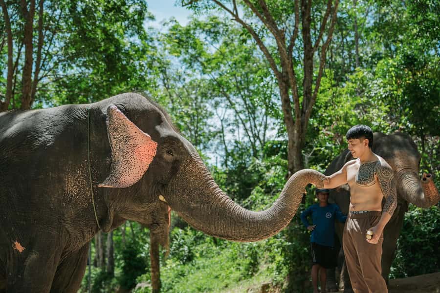 Phuket: Full-Day Elephant Explorer at Phuket Elephant Care - Lunch under shade, then food prep that shifts the focus