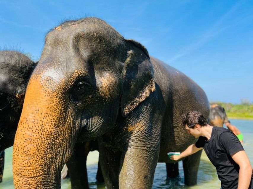 Phuket: Full-Day Elephant Explorer at Phuket Elephant Care - The mud spa and natural lake bathing: the wettest part of the day