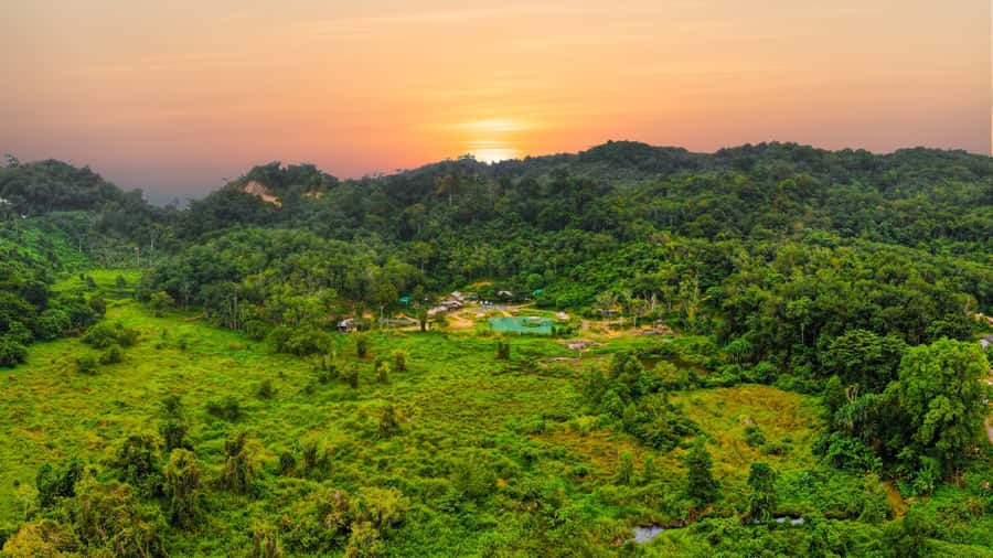 Phuket: Full-Day Elephant Explorer at Phuket Elephant Care - Pad Thai cooking class: a fun, useful cultural add-on