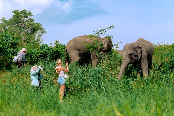 Phuket Guided Tour to Elephant Sanctuary with Hotel Transfers - Entering the ethical side of Phuket elephants