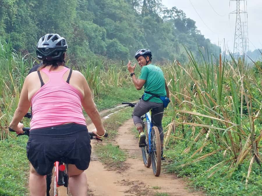 Phuket: Half-Day Countryside Cycling Tour with Lunch - Key highlights worth circling
