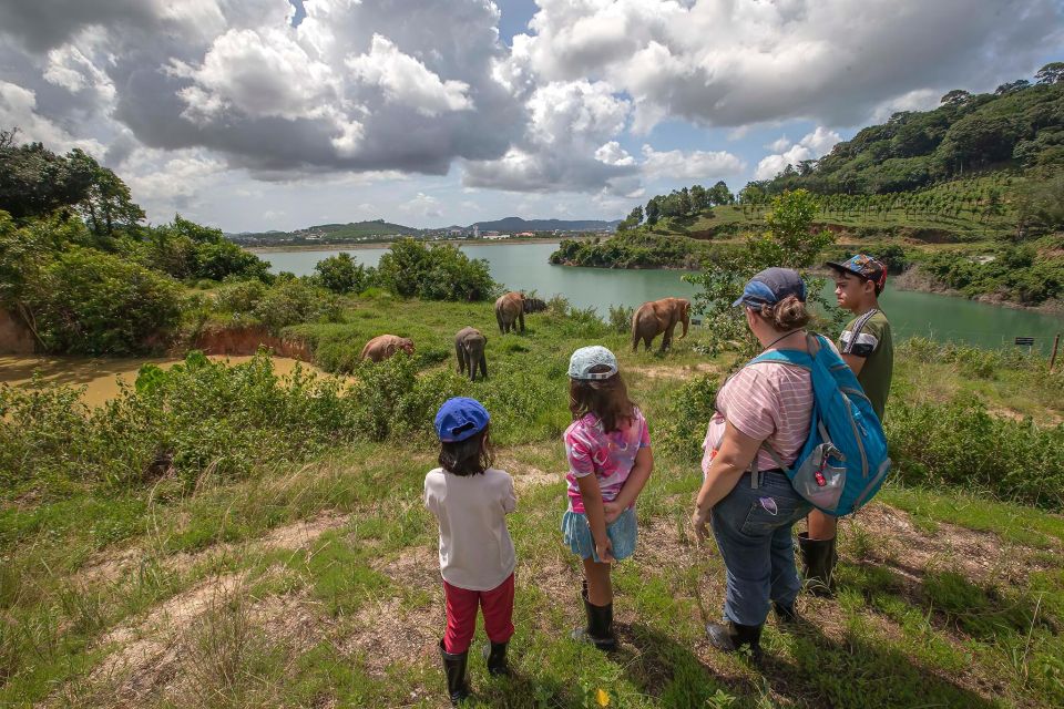Phuket: Half-Day Ethical Elephant with Meal and Transfer - Entering the sanctuary: what you learn before you walk
