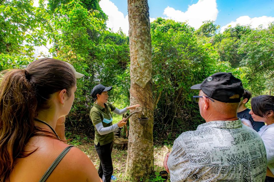 Phuket: Half-Day Ethical Elephant with Meal and Transfer - Caretaker stories: how to ask better questions on-site